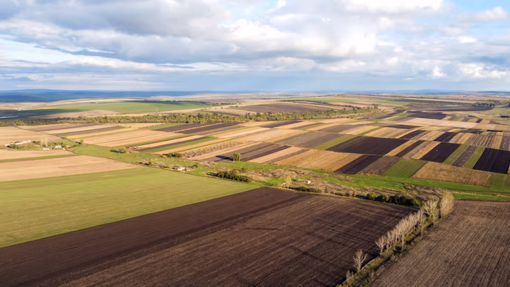 Prepared farmland using agriculture land development in Nashik with leveled and fertile soil